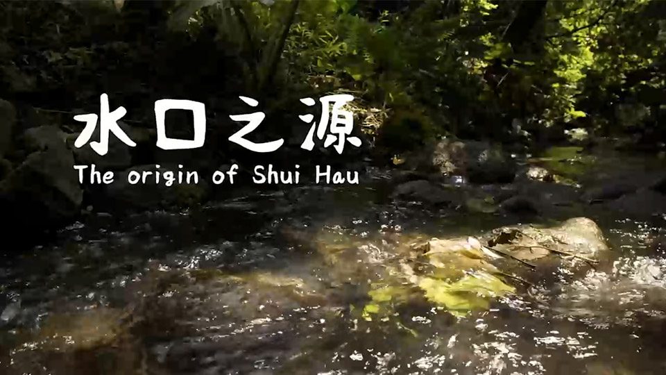 The Origin of Shui Hau