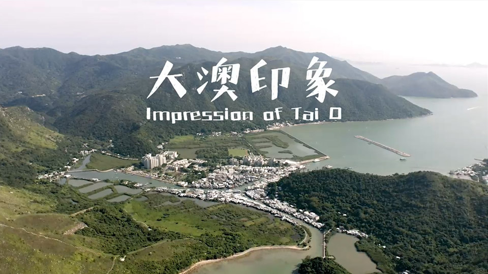 Impression of Tai O